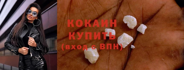 гашик Пестово