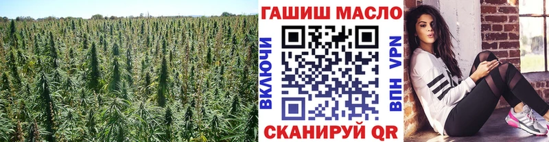 Дистиллят ТГК THC oil blacksprut маркетплейс Семикаракорск